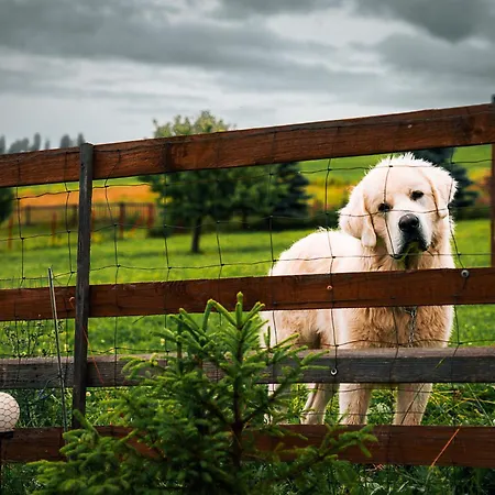 Goscinne U Bronka 3*