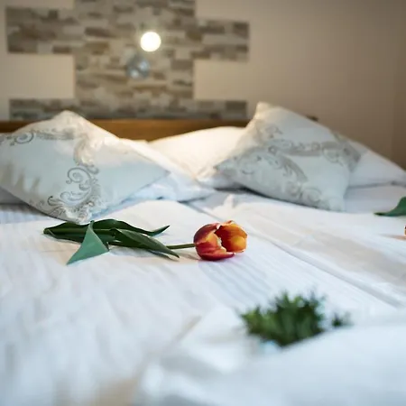 Goscinne U Bronka 3* Ciche Małe