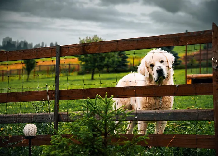 Goscinne U Bronka 3*