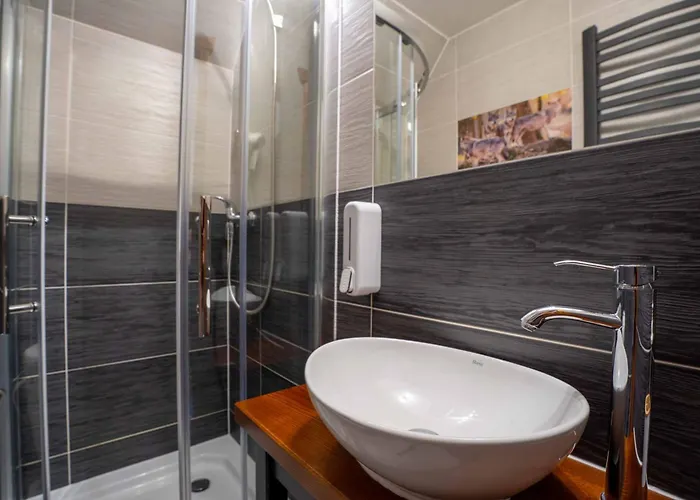 Goscinne U Bronka Małe Ciche