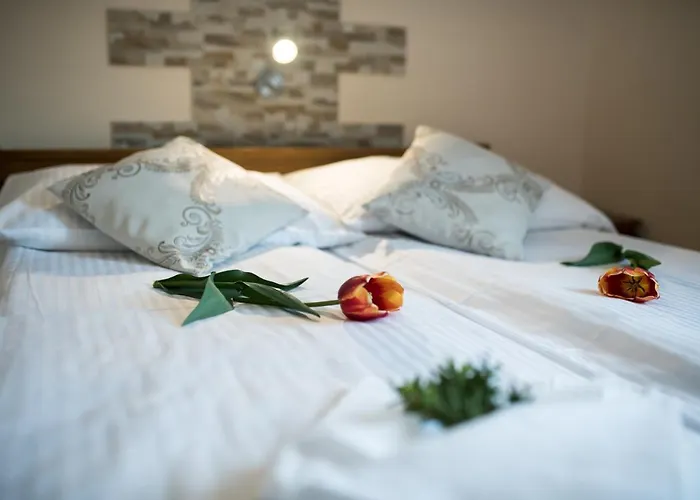 Goscinne U Bronka 3* Małe Ciche